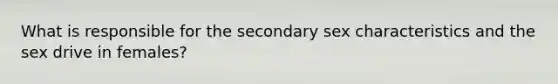 What is responsible for the secondary sex characteristics and the sex drive in females?