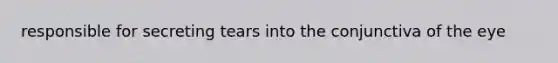responsible for secreting tears into the conjunctiva of the eye