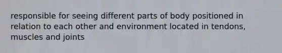 responsible for seeing different parts of body positioned in relation to each other and environment located in tendons, muscles and joints