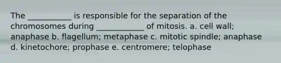 The ___________ is responsible for the separation of the chromosomes during ____________ of mitosis. a. cell wall; anaphase b. flagellum; metaphase c. mitotic spindle; anaphase d. kinetochore; prophase e. centromere; telophase