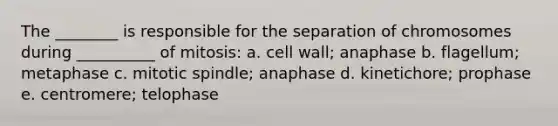 The ________ is responsible for the separation of chromosomes during __________ of mitosis: a. cell wall; anaphase b. flagellum; metaphase c. mitotic spindle; anaphase d. kinetichore; prophase e. centromere; telophase