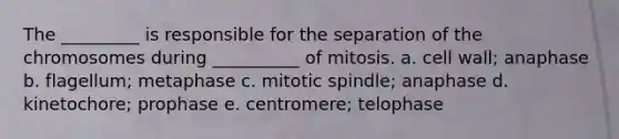 The _________ is responsible for the separation of the chromosomes during __________ of mitosis. a. cell wall; anaphase b. flagellum; metaphase c. mitotic spindle; anaphase d. kinetochore; prophase e. centromere; telophase