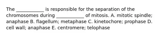 The ____________ is responsible for the separation of the chromosomes during ____________ of mitosis. A. mitotic spindle; anaphase B. flagellum; metaphase C. kinetochore; prophase D. cell wall; anaphase E. centromere; telophase