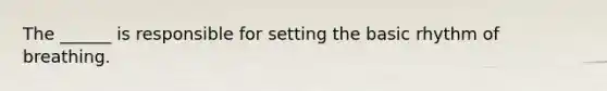 The ______ is responsible for setting the basic rhythm of breathing.