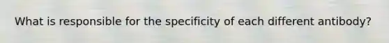 What is responsible for the specificity of each different antibody?