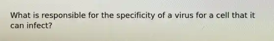 What is responsible for the specificity of a virus for a cell that it can infect?