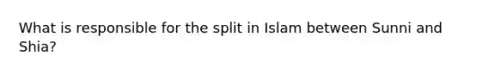 What is responsible for the split in Islam between Sunni and Shia?