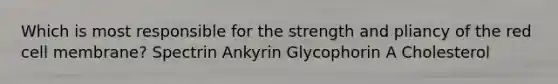 Which is most responsible for the strength and pliancy of the red cell membrane? Spectrin Ankyrin Glycophorin A Cholesterol