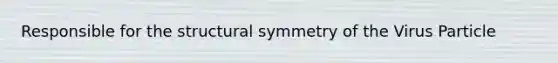 Responsible for the structural symmetry of the Virus Particle