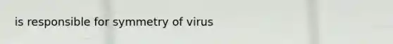 is responsible for symmetry of virus