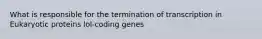 What is responsible for the termination of transcription in Eukaryotic proteins lol-coding genes