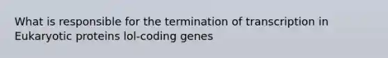 What is responsible for the termination of transcription in Eukaryotic proteins lol-coding genes