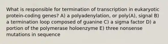 What is responsible for termination of transcription in eukaryotic protein-coding genes? A) a polyadenylation, or poly(A), signal B) a termination loop composed of guanine C) a sigma factor D) a portion of the polymerase holoenzyme E) three nonsense mutations in sequence