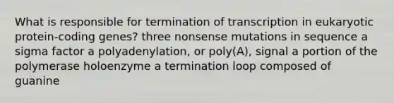 What is responsible for termination of transcription in eukaryotic protein-coding genes? three nonsense mutations in sequence a sigma factor a polyadenylation, or poly(A), signal a portion of the polymerase holoenzyme a termination loop composed of guanine