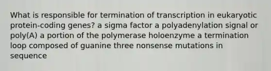 What is responsible for termination of transcription in eukaryotic protein-coding genes? a sigma factor a polyadenylation signal or poly(A) a portion of the polymerase holoenzyme a termination loop composed of guanine three nonsense mutations in sequence