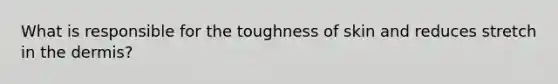 What is responsible for the toughness of skin and reduces stretch in the dermis?