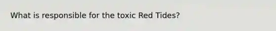 What is responsible for the toxic Red Tides?