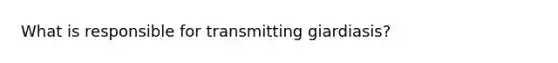 What is responsible for transmitting giardiasis?