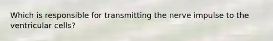 Which is responsible for transmitting the nerve impulse to the ventricular cells?