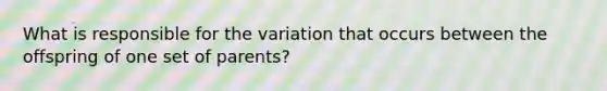 What is responsible for the variation that occurs between the offspring of one set of parents?