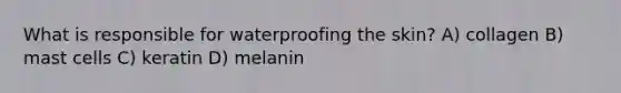 What is responsible for waterproofing the skin? A) collagen B) mast cells C) keratin D) melanin