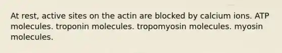 At rest, active sites on the actin are blocked by calcium ions. ATP molecules. troponin molecules. tropomyosin molecules. myosin molecules.