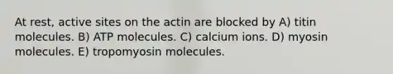 At rest, active sites on the actin are blocked by A) titin molecules. B) ATP molecules. C) calcium ions. D) myosin molecules. E) tropomyosin molecules.