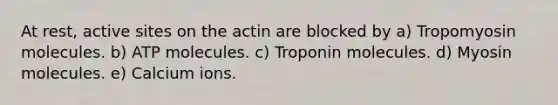 At rest, active sites on the actin are blocked by a) Tropomyosin molecules. b) ATP molecules. c) Troponin molecules. d) Myosin molecules. e) Calcium ions.