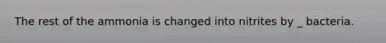 The rest of the ammonia is changed into nitrites by _ bacteria.