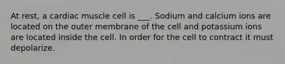 At rest, a cardiac muscle cell is ___. Sodium and calcium ions are located on the outer membrane of the cell and potassium ions are located inside the cell. In order for the cell to contract it must depolarize.