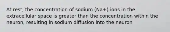 At rest, the concentration of sodium (Na+) ions in the extracellular space is greater than the concentration within the neuron, resulting in sodium diffusion into the neuron