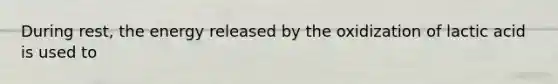 During rest, the energy released by the oxidization of lactic acid is used to