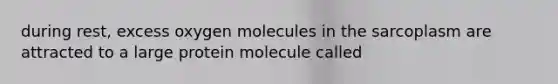 during rest, excess oxygen molecules in the sarcoplasm are attracted to a large protein molecule called