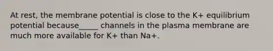 At rest, the membrane potential is close to the K+ equilibrium potential because_____ channels in the plasma membrane are much more available for K+ than Na+.