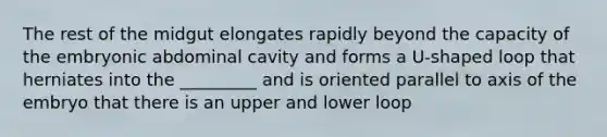 The rest of the midgut elongates rapidly beyond the capacity of the embryonic abdominal cavity and forms a U-shaped loop that herniates into the _________ and is oriented parallel to axis of the embryo that there is an upper and lower loop