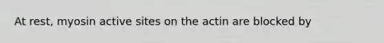 At rest, myosin active sites on the actin are blocked by