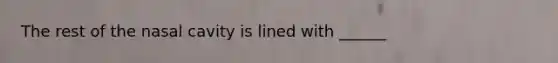 The rest of the nasal cavity is lined with ______