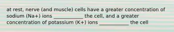 at rest, nerve (and muscle) cells have a greater concentration of sodium (Na+) ions ____________ the cell, and a greater concentration of potassium (K+) ions ____________ the cell