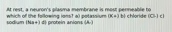 At rest, a neuron's plasma membrane is most permeable to which of the following ions? a) potassium (K+) b) chloride (Cl-) c) sodium (Na+) d) protein anions (A-)