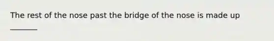 The rest of the nose past the bridge of the nose is made up _______