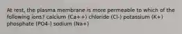 At rest, the plasma membrane is more permeable to which of the following ions? calcium (Ca++) chloride (Cl-) potassium (K+) phosphate (PO4-) sodium (Na+)
