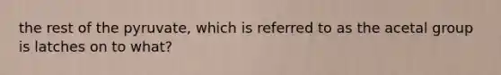 the rest of the pyruvate, which is referred to as the acetal group is latches on to what?