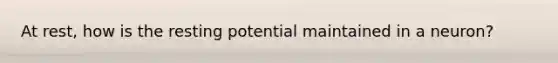 At rest, how is the resting potential maintained in a neuron?