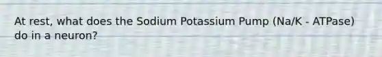 At rest, what does the Sodium Potassium Pump (Na/K - ATPase) do in a neuron?