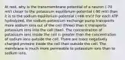 At rest, why is the transmembrane potential of a neuron (-70 mV) closer to the potassium equilibrium potential (-90 mV) than it is to the sodium equilibrium potential (+66 mV)? For each ATP hydrolyzed, the sodium-potassium exchange pump transports more sodium ions out of the cell (three) than it transports potassium ions into the cell (two). The concentration of potassium ions inside the cell is greater than the concentration of sodium ions outside the cell. There are more negatively charged proteins inside the cell than outside the cell. The membrane is much more permeable to potassium ions than to sodium ions.