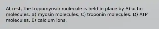 At rest, the tropomyosin molecule is held in place by A) actin molecules. B) myosin molecules. C) troponin molecules. D) ATP molecules. E) calcium ions.