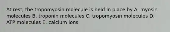 At rest, the tropomyosin molecule is held in place by A. myosin molecules B. troponin molecules C. tropomyosin molecules D. ATP molecules E. calcium ions