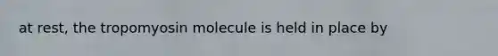 at rest, the tropomyosin molecule is held in place by