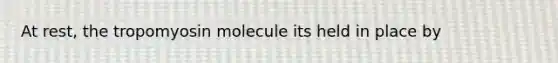 At rest, the tropomyosin molecule its held in place by