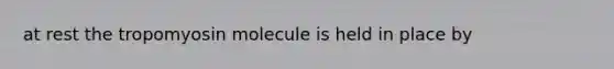 at rest the tropomyosin molecule is held in place by